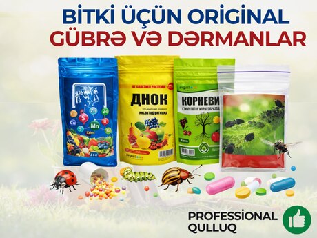 Bitki dərmanları
