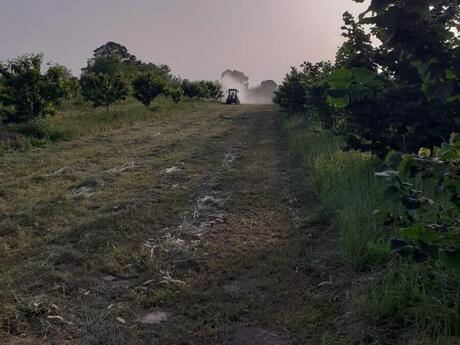 Torpaq sahəsi 223.4 sot, Qusar r.