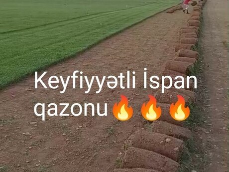 Qazon