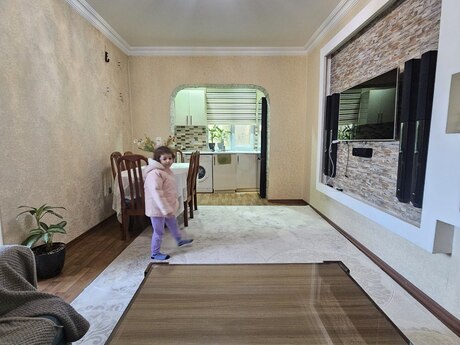 2 otaq · 55 m²