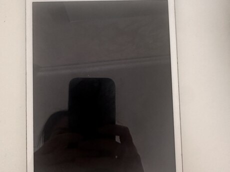 Apple iPad mini