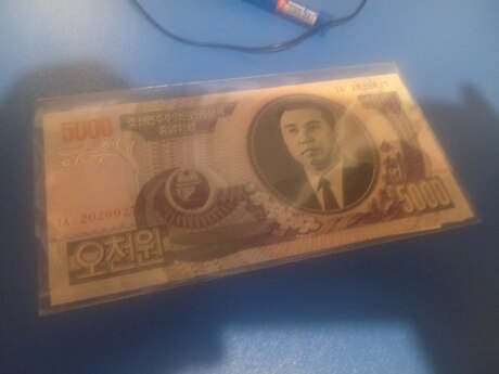 5000 Von 2006 il