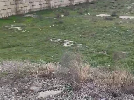 2 sot torpaq sahəsi, Saray qəs.