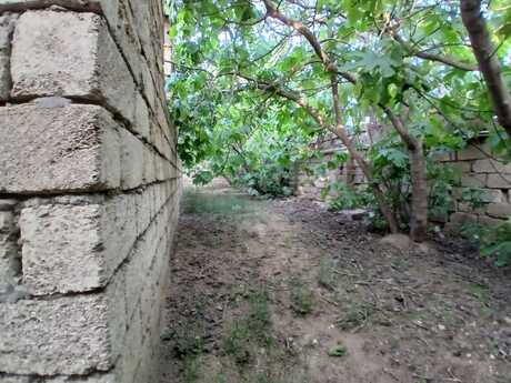 Maştağada 4 otaqlı həyət evi satılır, 140 m², 35 000 AZN, şəkil 5 / 12