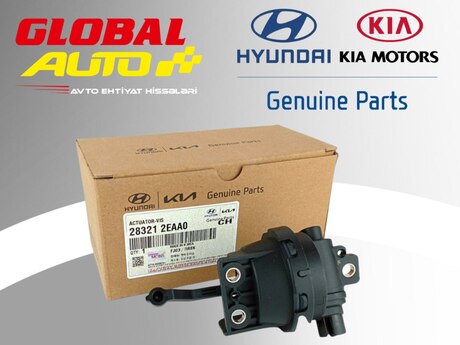 Hyundai, Kia qəbul kollektorunun qapağının intiqalı