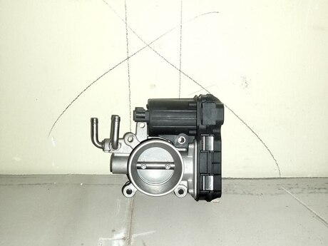 Great wall drossel
