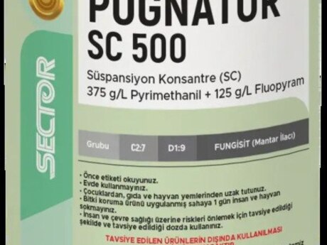 Pugnator sc 500