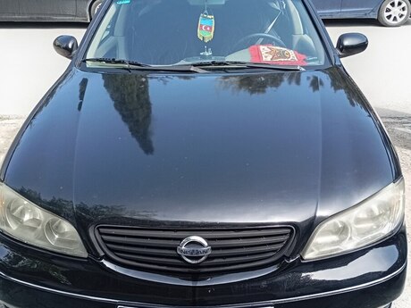 Nissan Maxima, 2005 год