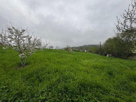 12 sot torpaq sahəsi, Quba r.