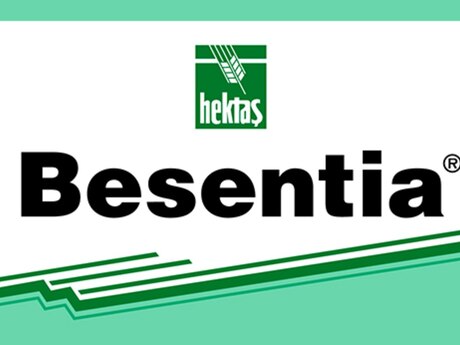 Besentia