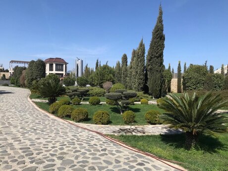 Bilgəhdə 6 otaqlı həyət evi kirayə verilir, 400 m², 6 000 AZN/ay, şəkil 5 / 12
