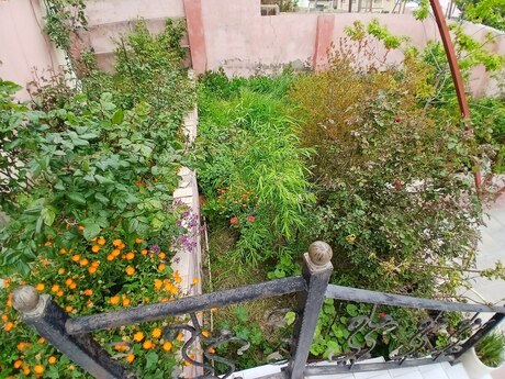 Masazırda 5 otaqlı həyət evi satılır, 230 m², 165 000 AZN, şəkil 5 / 12