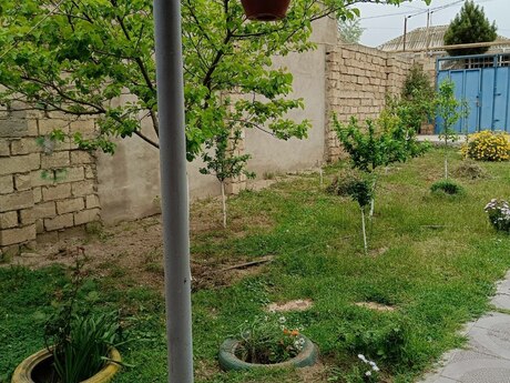 4 sot torpaq sahəsi, Hökməli qəs.