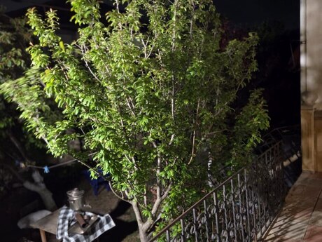Mehdiabadda 5 otaqlı həyət evi satılır, 132 m², 229 900 AZN, şəkil 4 / 12