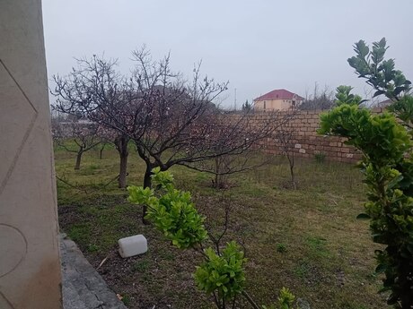 Novxanıda 5 otaqlı həyət evi satılır, 2 000 m², 200 000 AZN, şəkil 4 / 5