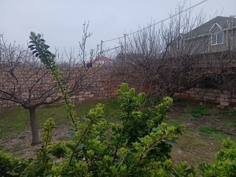 Novxanıda 5 otaqlı həyət evi satılır, 2 000 m², 200 000 AZN, şəkil 3 / 5