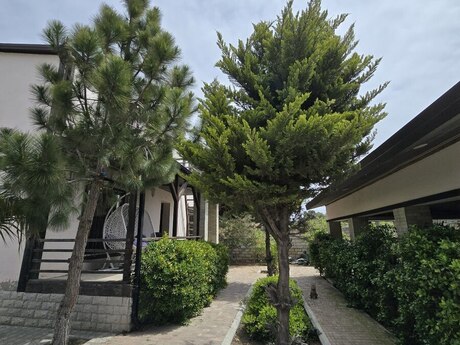 5-room house for rent in Ramana, 210 m², 750 AZN/mo, photo 2 / 12