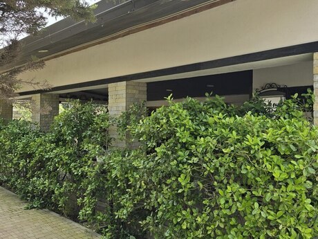 5-room house for rent in Ramana, 210 m², 750 AZN/mo, photo 4 / 12
