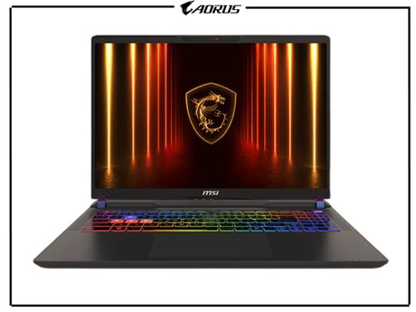 MSİ Vector 16 HX AI A2XWHG-285US