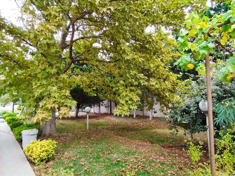 Görədildə 8 otaqlı həyət evi satılır, 360 m², 550 000 AZN, şəkil 2 / 12