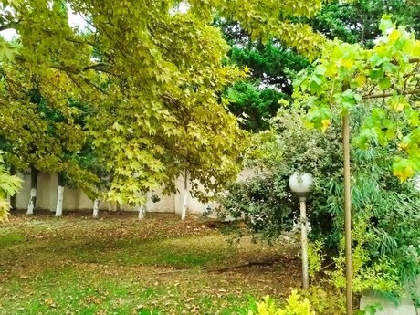 Görədildə 8 otaqlı həyət evi satılır, 360 m², 550 000 AZN, şəkil 4 / 12