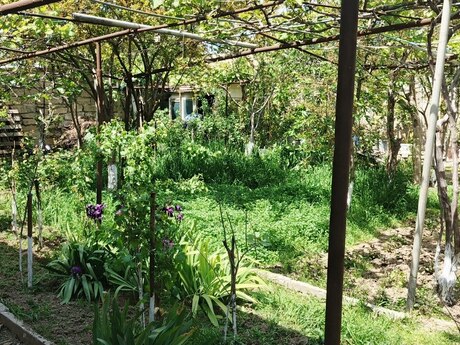 7-room house for sale in Binəqədi, 500 m², 246 000 AZN, photo 3 / 10
