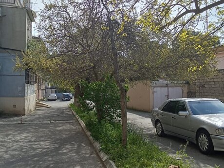 Elmlər Akademiyasında 1 otaqlı köhnə tikili mənzil satılır, 36,5 m², 155 000 AZN, şəkil 2 / 10