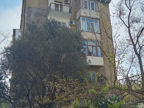 1 otaq · 36,5 m² · 2/5 mərtəbə, Mətbuat prospekti