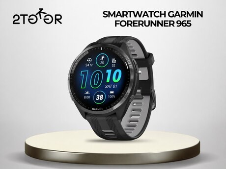 Garmin Forerunner 965 Gray Garmin Forerunner 965 Gray