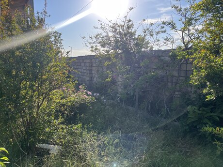 Продаётся 1-комнатный дом, Saray, 60 м², 29 500 AZN, фото 2 / 5