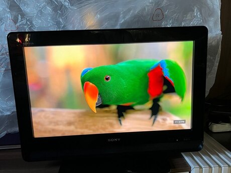 Televizor Sony 66sm