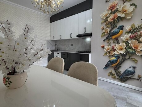 2-otaqlı yeni tikili, Vladislav Plotnikov küç., 52 m²