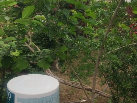 Qobuda 6 otaqlı həyət evi satılır, 200 m², 110 000 AZN, şəkil 4 / 12