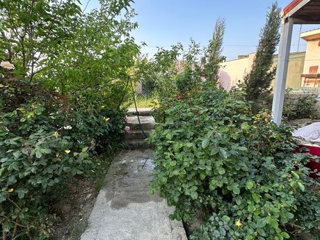 Ramanada 3 otaqlı həyət evi kirayə verilir, 100 m², 350 AZN/ay, şəkil 5 / 12