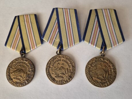 Qafqazın müdafiəsi medalı