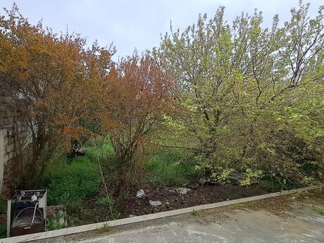5-room house for sale in Şüvəlan, 150 m², 205 000 AZN, photo 4 / 5