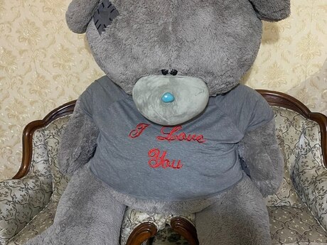 Oyuncaq ayı "Teddy" Oyuncaq ayı "Teddy"