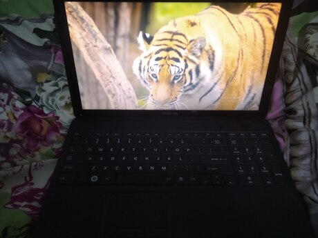 Noutbuk Toshiba i5
