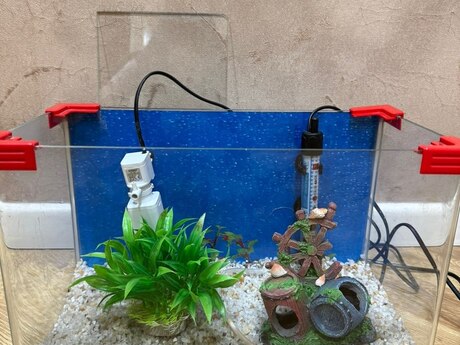 Akvarium 