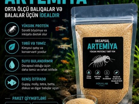 Artemiya "Decapsul"