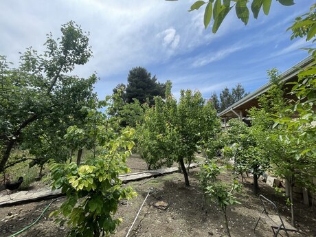 7-room house for sale in Novxanı, 300 m², 363 000 AZN, photo 3 / 12