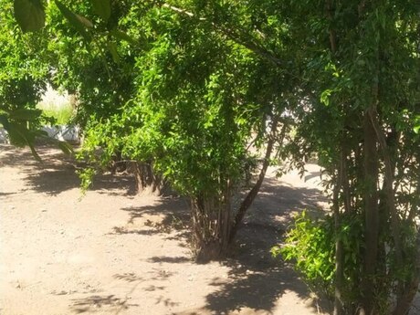 Balaxanıda 6 otaqlı həyət evi satılır, 300 m², 125 000 AZN, şəkil 2 / 12