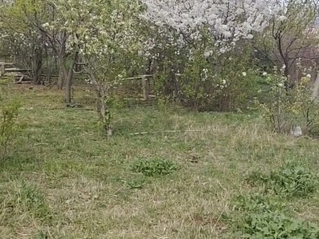 8 sot torpaq sahəsi, Goranboy ş. 8 sot torpaq sahəsi, Goranboy ş.