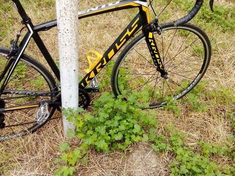 Velosiped Kross vento 3