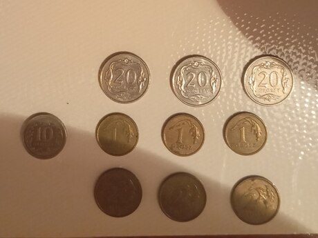 Polşa qəpikləri 
