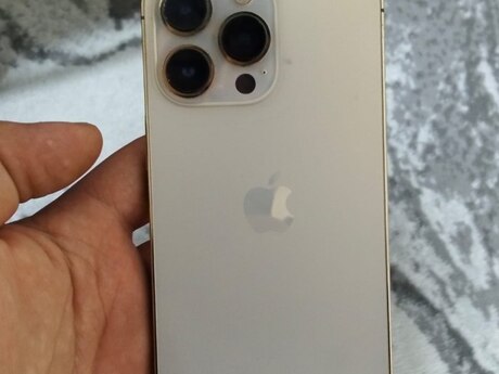 Apple iPhone 13 Pro Gold 256GB/6GB