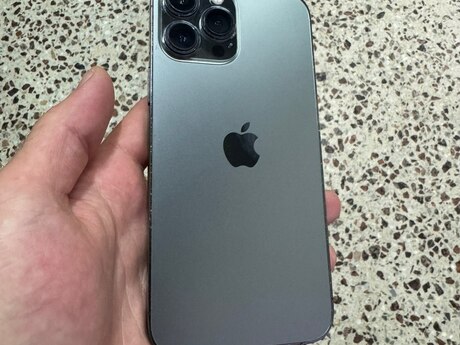 Apple iPhone 13 Pro Max Silver 256GB/6GB