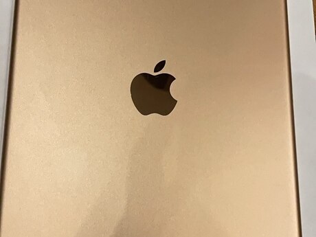 Apple iPad
