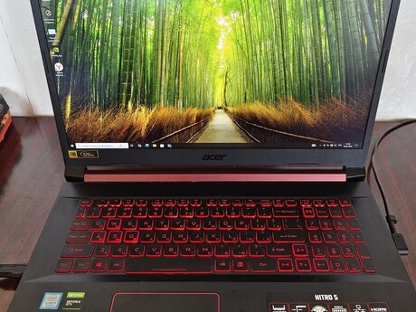 Acer Nitro 5