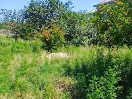 4 sot torpaq sahəsi, Ağcabədi r.